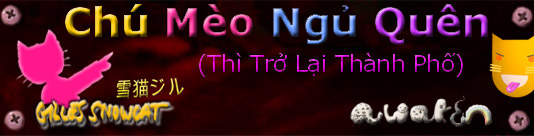 Ch Mo Ngủ Qun (Th Trở Lại Thnh Phố)