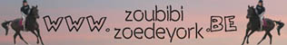 Zoubibi